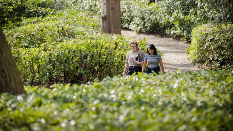 To people walking through the laurel hedges at Claremont Landscape Garden